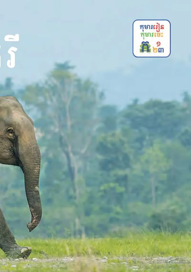 Book cover: ថ្នាក់ទី២៖ ដំរី by ក្រសួងអប់រំ យុវជន និងកីឡា