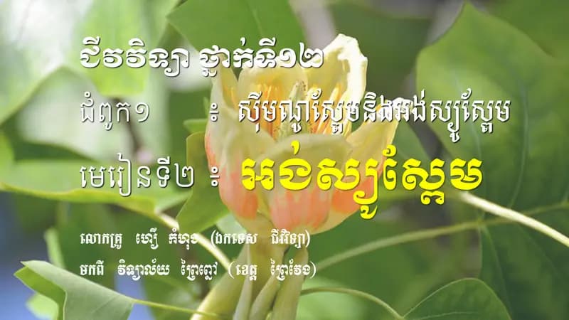 Book cover: អង់ស្យូស្ពែម by ក្រសួងអប់រំ យុវជន និងកីឡា